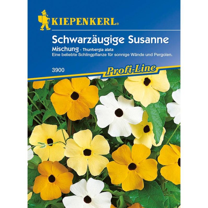 Seminte de Thunbergia Mix
