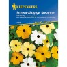 Seminte de Thunbergia Mix