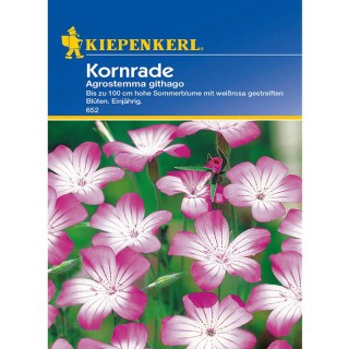 Neghina (Agrostemma) Kornrade (50 sem)