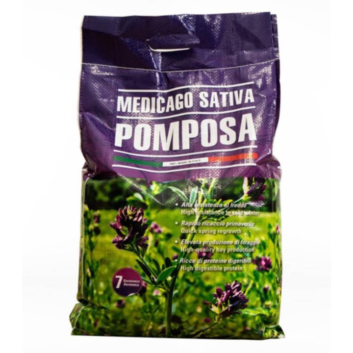 Seminte de lucerna Pomposa, sac 10 kilograme