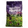 Seminte de lucerna Pomposa, sac 10 kilograme