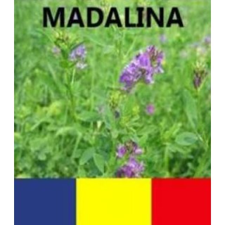 Seminte de lucerna Madalina (10 kg)