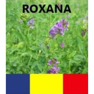 Seminte de lucerna Roxana, sac 10 kilograme