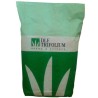 Lolium perenne/Raigrass furajer,  Mathilde, sac 20 kilograme