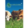Amestec pentru zone secetoase