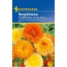Galbenele Pracht plic 50 seminte