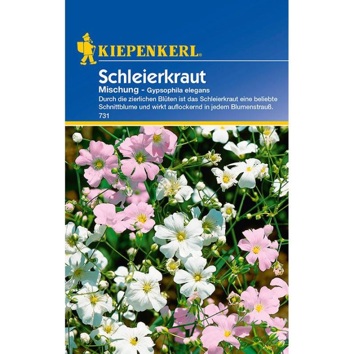 Seminte gypsophilla elegans