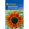 Floarea soarelui Abendsonne 20 seminte