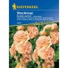 Seminte Nalba Double Apricot