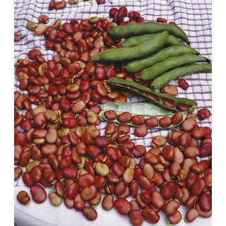 Seminte bob de gradin Red Epicure