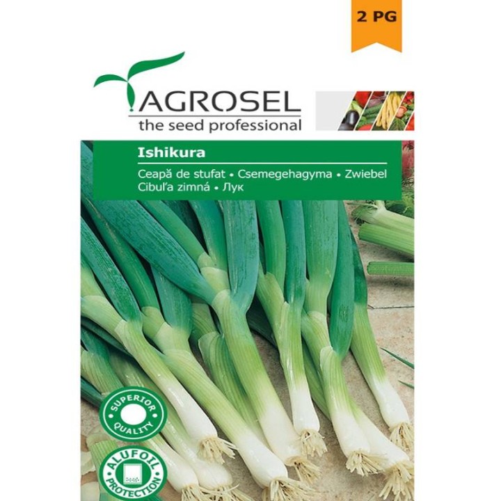 Seminte de ceapa de stufat Ishikura, Agrosel