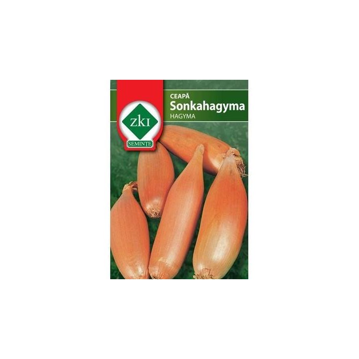 Seminte de ceapa Sonkahagyma, 2 g
