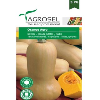 Seminte dovleac Orange Agro