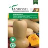Seminte dovleac Orange Agro
