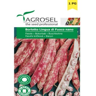 Seminte fasole Lingua di Fuoco