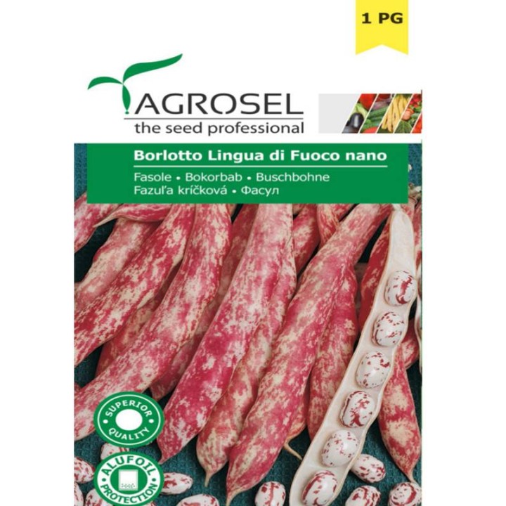 Seminte fasole Lingua di Fuoco