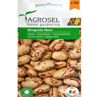Seminte fasole Stregonta
