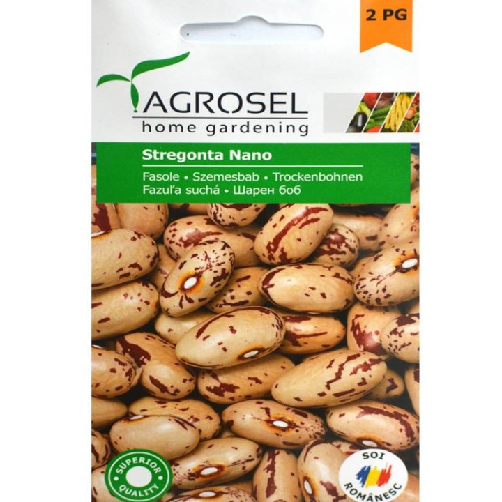 Seminte fasole Stregonta