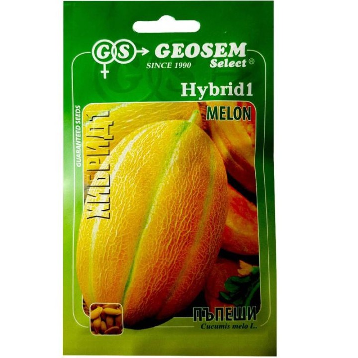 Seminte de pepene galben Hibrid 1 F1, 1 Gram