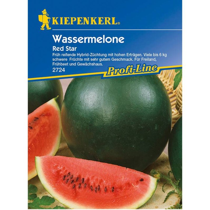 Seminte pepene verde Red Star