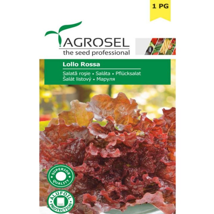 Seminte salata rosie lollo rossa