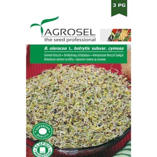 Seminte germeni broccoli 8 grame