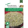 Seminte germeni broccoli 8 grame