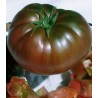 Seminte de Tomate negre, 0.5 grame