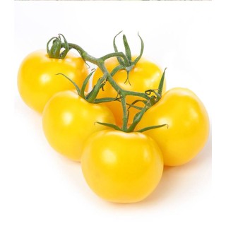 Seminte tomate cherry galbene