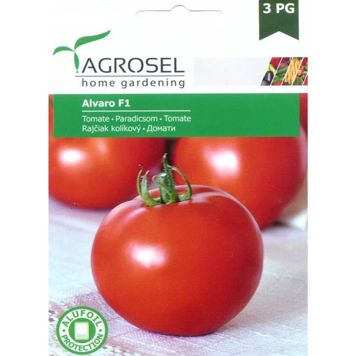 Seminte tomate Alvaro