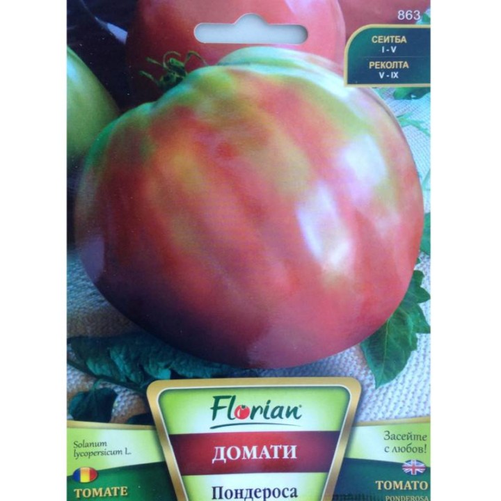 Tomate roz Ponderosa