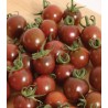 Seminte tomate Black opal