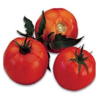 Seminte de tomate Galina F1, Hazera
