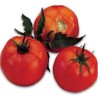 Seminte de tomate Galina F1, Hazera