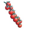 Seminte de tomate Shiren F1, cherry, Hazera