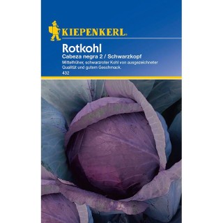 Seminte varza rosie Rodkop