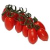 Seminte de tomate cherry prunisoare Lucinda F1