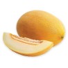 Seminte de pepene galben Raymond F1, 500 seminte