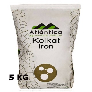 Kelkat Fier