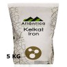 Kelkat Fier