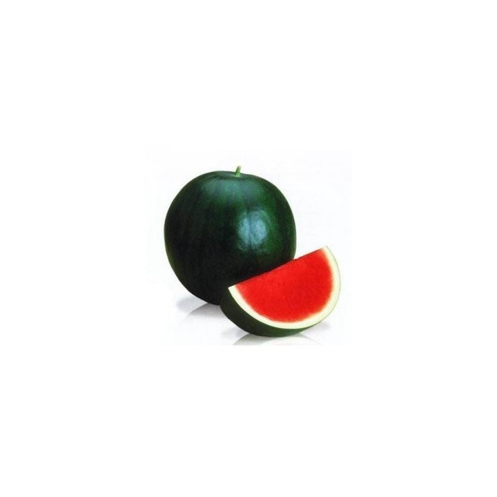 Seminte de pepene fara seminte Morena f1, 1000 seminte