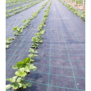 Plasa agrotextil