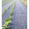 Plasa agrotextil