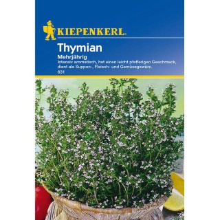 Cimbrisor Thymian 100 seminte