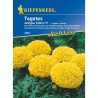 Craite Antiqua Yellow F1