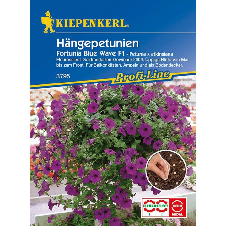 Seminte de petunia curgatoare Fortunia Blue Wave F1, plic hobby