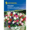 Seminte de petunii cu floare mare Spectrum F1