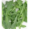 Seminte de rucola Wild Rocket Seledor 50 grame