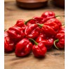 Habanero Red - 10 grame