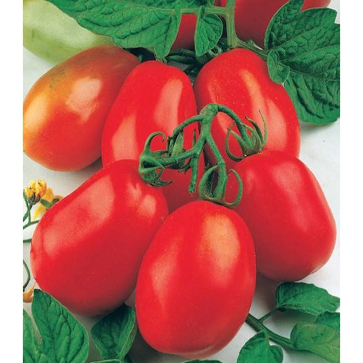 Seminte de tomate Rio Grande, 10 grame